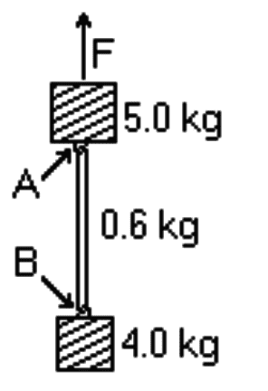 FBD.png