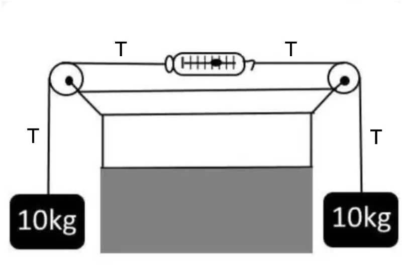 FBD Spring Scale.webp