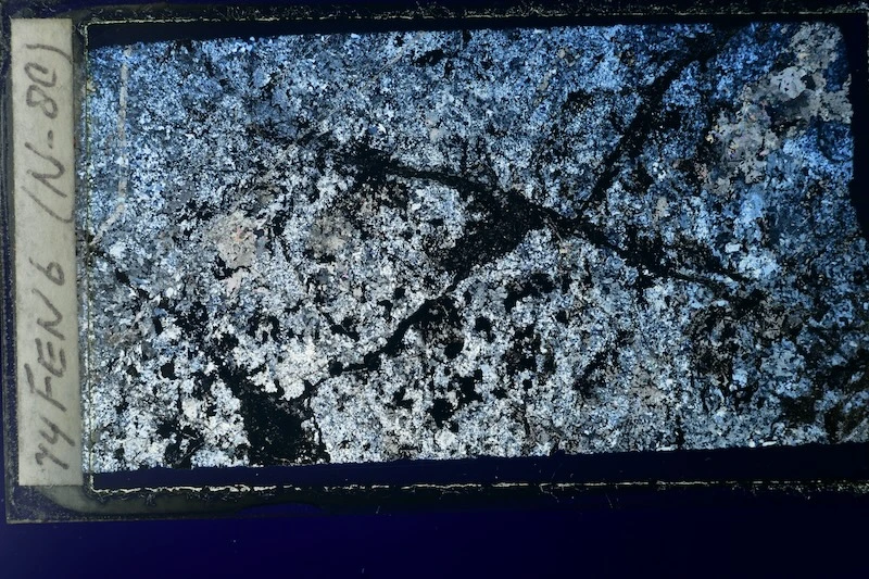Fen 6 h.webp
