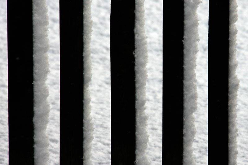 fence.jpg