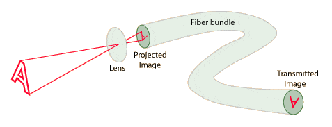 fibop2.gif