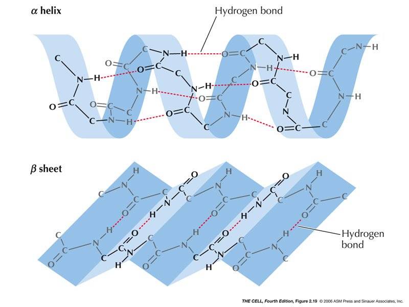 Fig-02-19-0.jpg