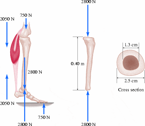 fig-042.gif