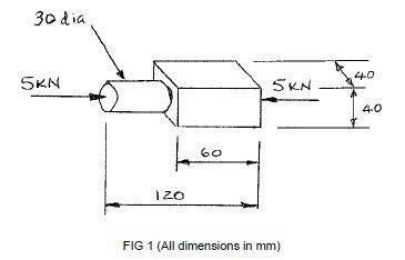 fig1-jpg.74374.jpg