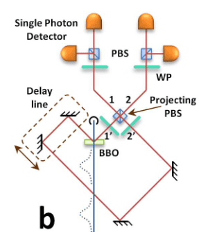 fig1b.png