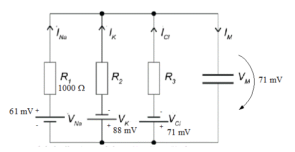 Fig2.gif