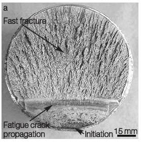 Fig299_4.jpg