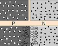 Fig_4.png