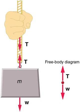 Figure_04_05_04.jpg