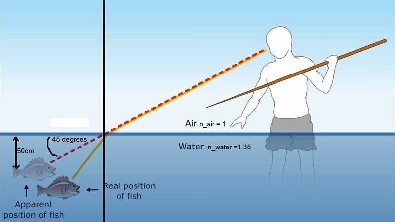 fish 2.jpg