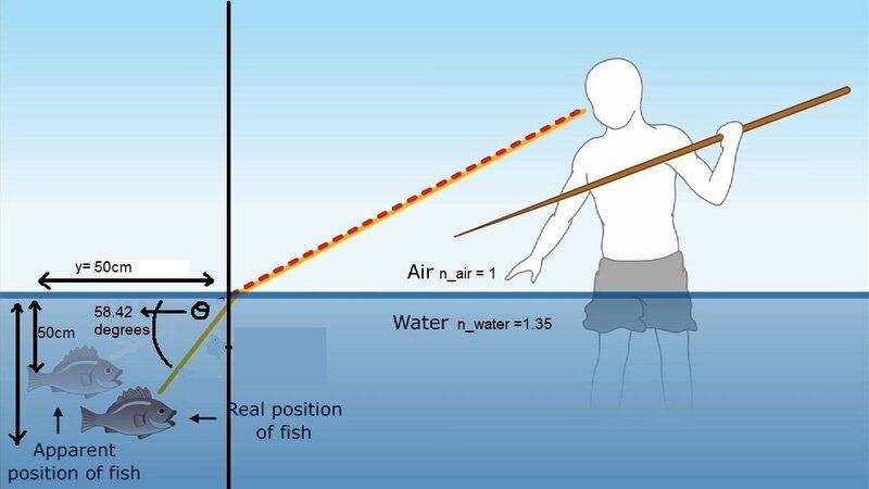 fish 5.jpg