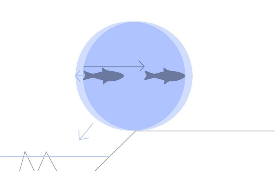 fish-escape.jpg