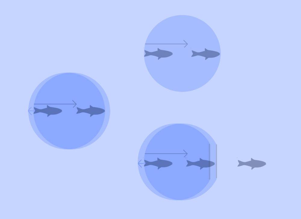fish-escape4.jpg