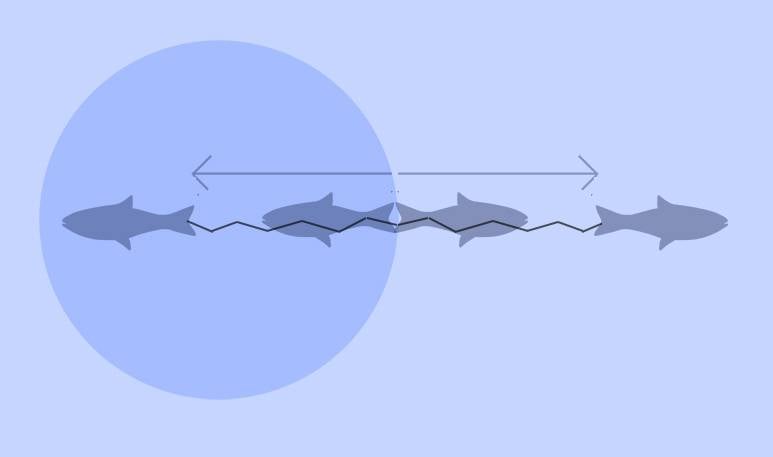 fish-escape6.jpg