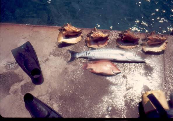 fishonpier.jpg