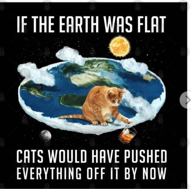 flat-earth-cat.jpg