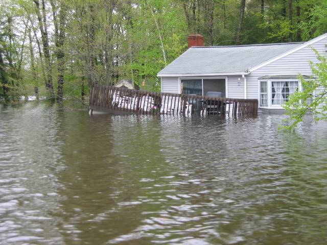 flood062.jpg