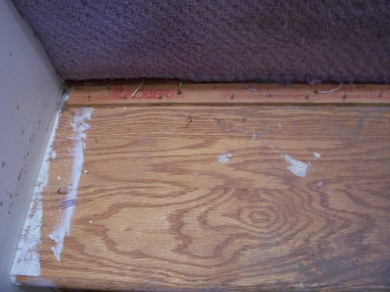 FLOOR.jpg