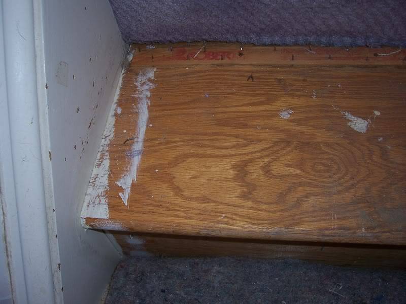 FLOOR2.jpg
