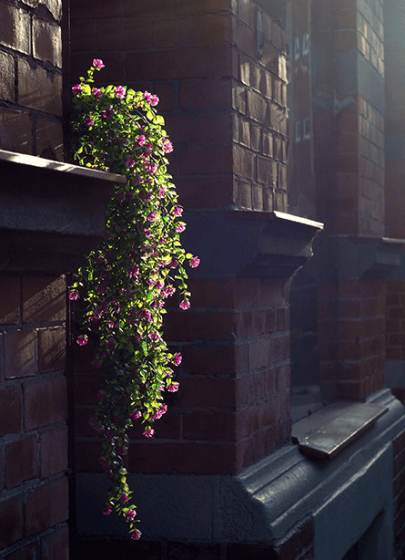 Flowers outside Art Gallery (Color).png