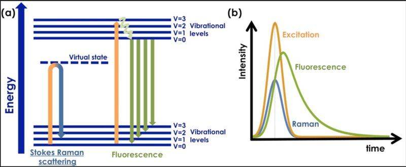 fluorescence emission_.JPG