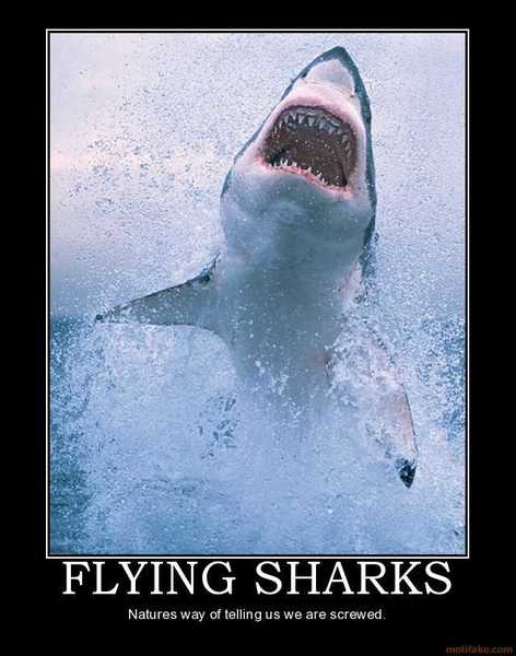 flying-sharks-demotivational-poster-1252048473.jpg