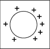 foil_i1.gif
