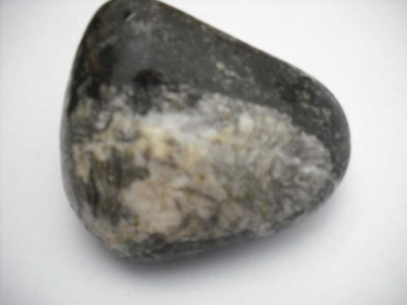 Fossil.jpg