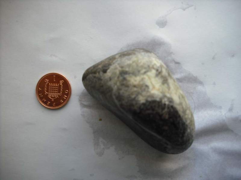 Fossil3.jpg