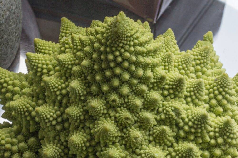 fractalific veggie-1856.jpg