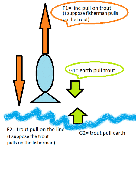 free body diagram.png