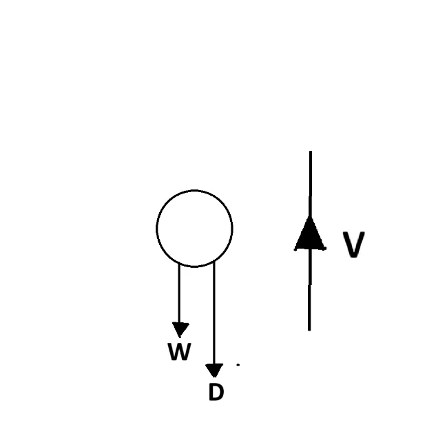Free Body diagram.webp