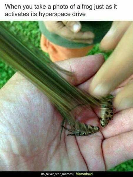 frog with hyperdrive.jpg