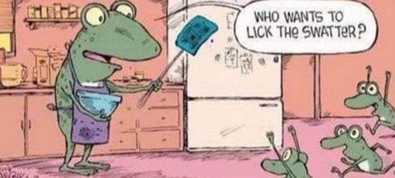 Frogs and swatter.jpg