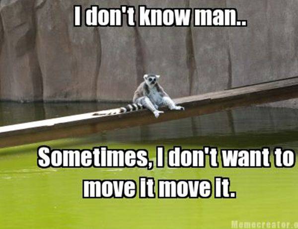 funny-animal-pictures-with-captions-010-008.jpg