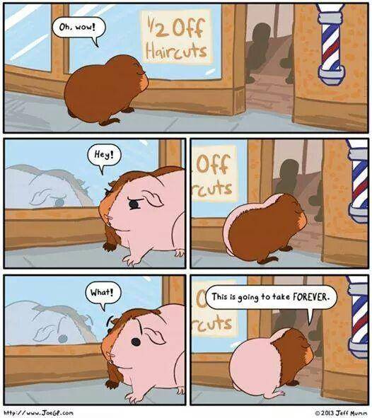 funny-math-jokes.jpg