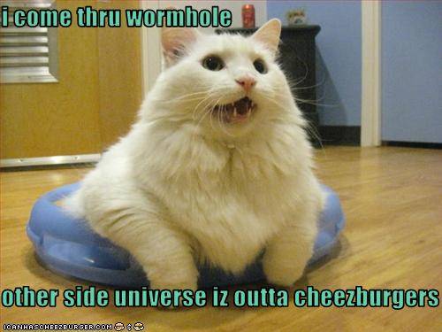 funny-pictures-cat-enters-universe-through-wormhole1.jpg