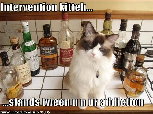 funny-pictures-intervention-cat-kee.jpg