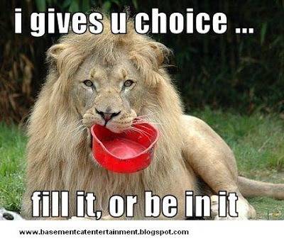 funny-pictures-lion-gives-you-a-choice.jpg