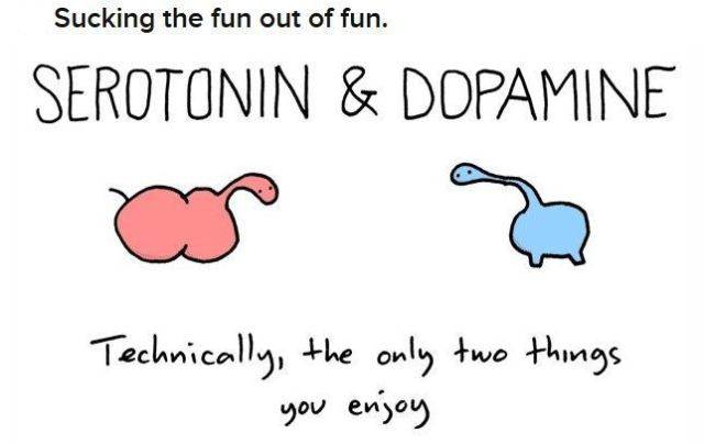funny_and_clever_science_jokes_640_15.jpg