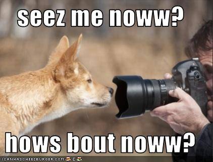 funt-pictures-fox-is-in-camera.jpg