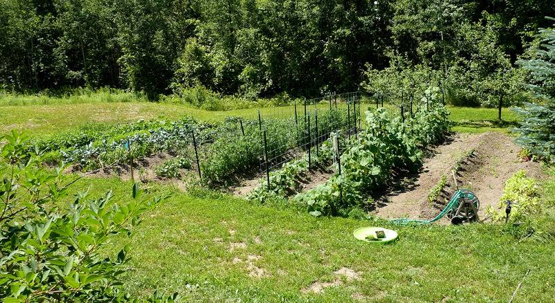 garden728.jpg