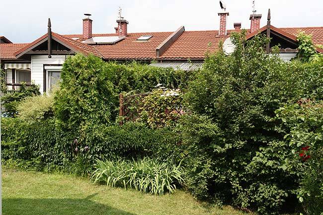 garden_today.jpg