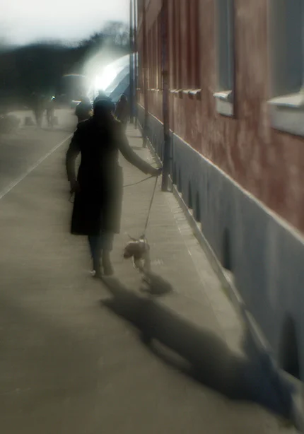 Gatufotografi (1).webp