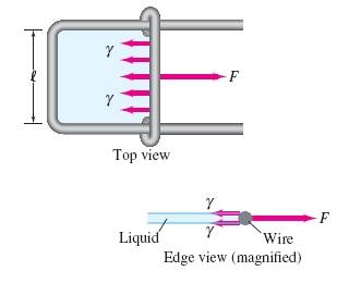 giancoli_cp7.ch10.p67.jpg