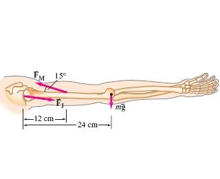giancoli_cp7.ch9.p35.jpg