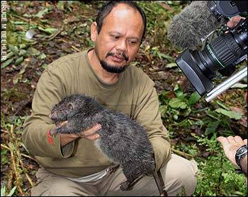 giant-rat.jpg