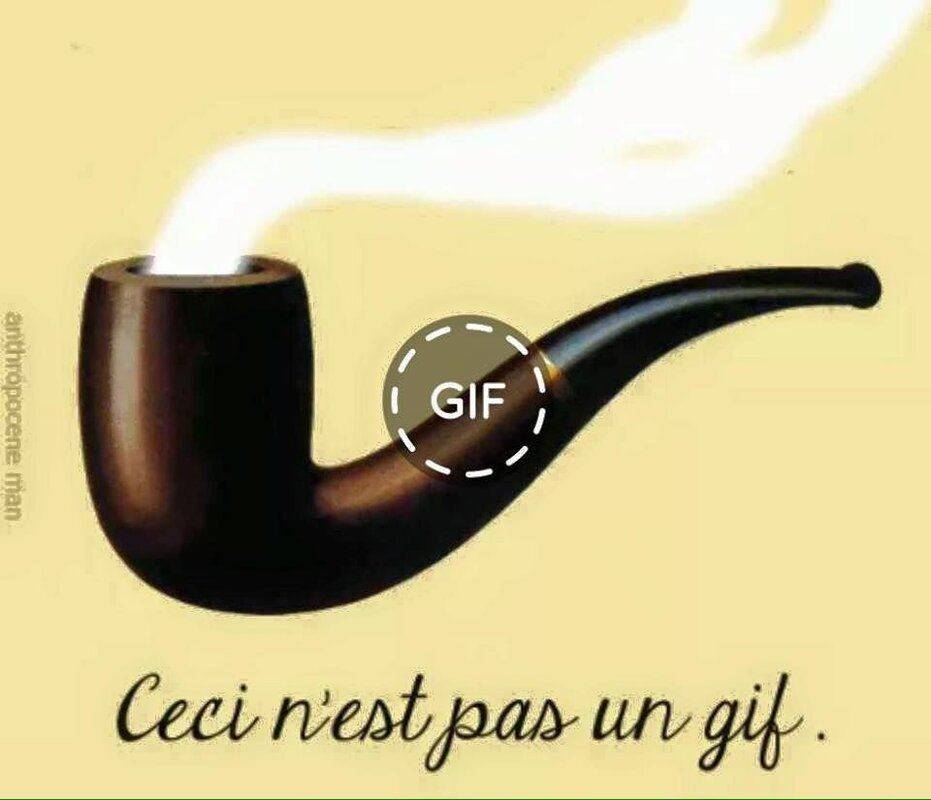 gif.jpg