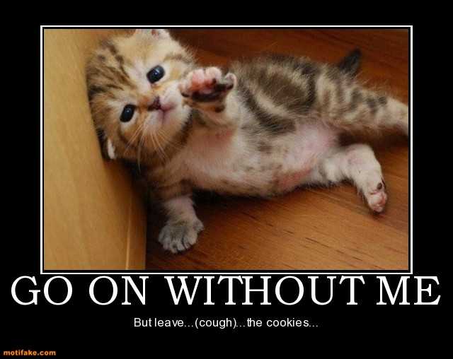 go-on-without-me-kitten-humor-demotivational-posters-1325286199.jpg