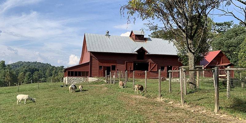 goatbarn.jpg
